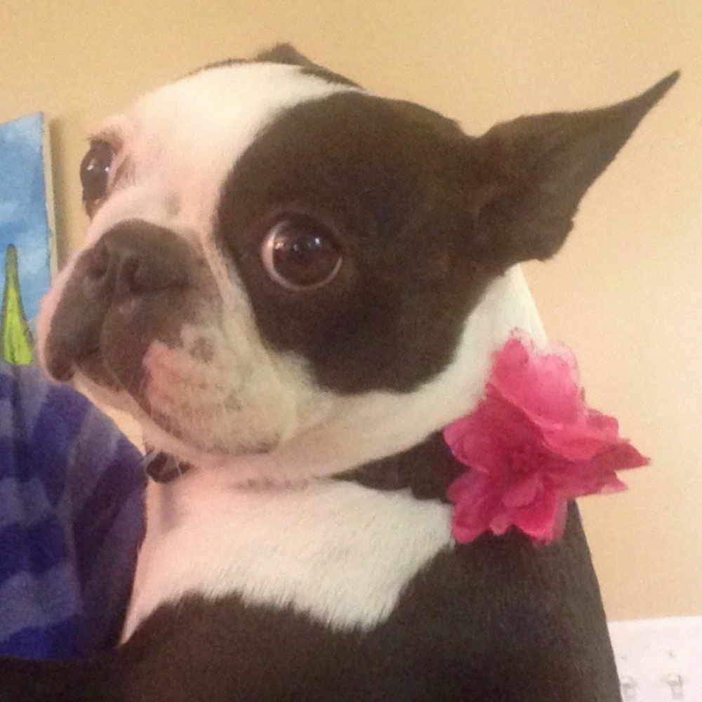 Meet your Posher, Natalie